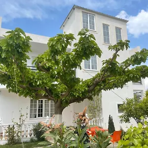 Denis Appartement